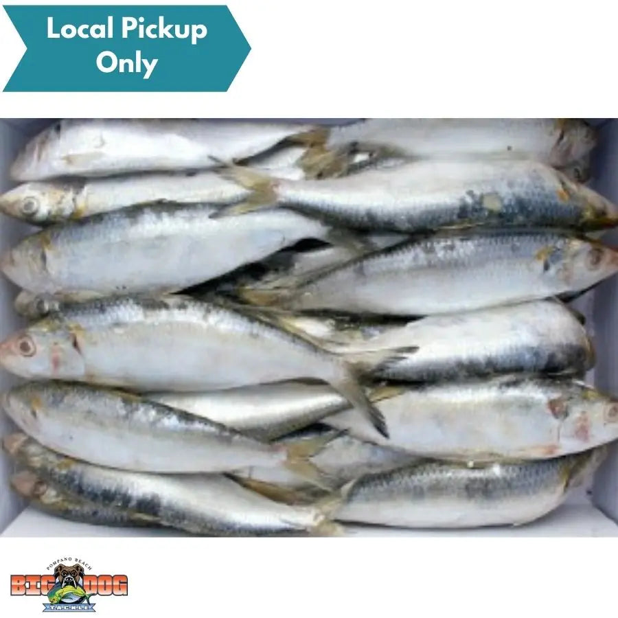 BIONIC BAIT FROZEN MENHADEN SARDINE FLAT 33LB Big Dog Tackle