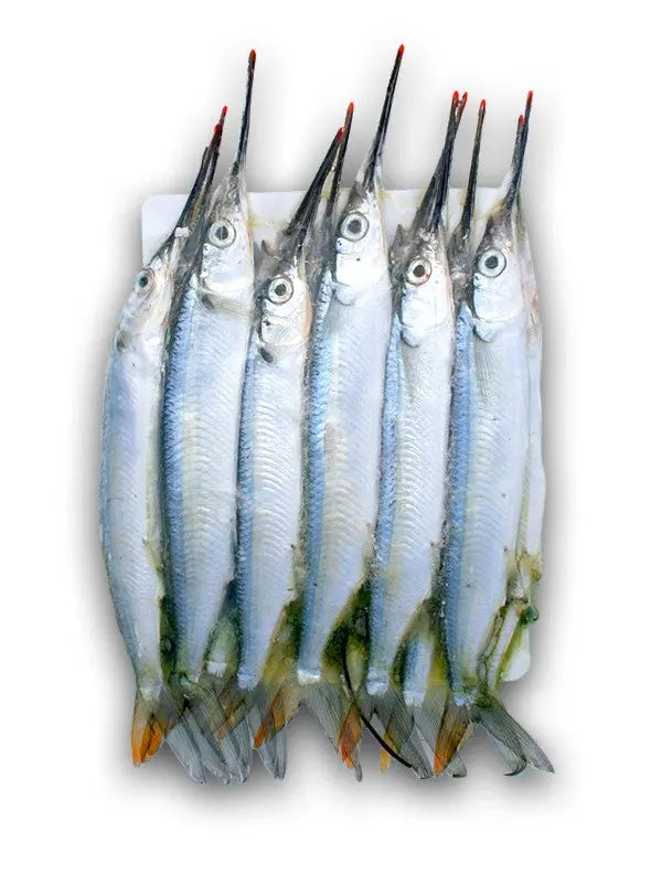 BIONIC BAIT UNRIGGED BLACK LABEL BALLYHOO MEDIUM 12 PACK – Big Dog