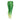 PELAGIC MAUI LEGGING DORADO-GREEN-M-