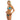PELAGIC KEY WEST PROP WASH BIKINI BOTTOM