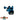 ACCURATE VALIANT ICE BLUE / BLACK SPECIAL EDITION-