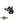 ACCURATE VALIANT SPJ MAHI SPECIAL EDITION-
