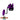 ACCURATE VALIANT SPJ PURPLE SPECIAL EDITION-