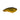 BERKLEY JACK-BLACK GOLD-6