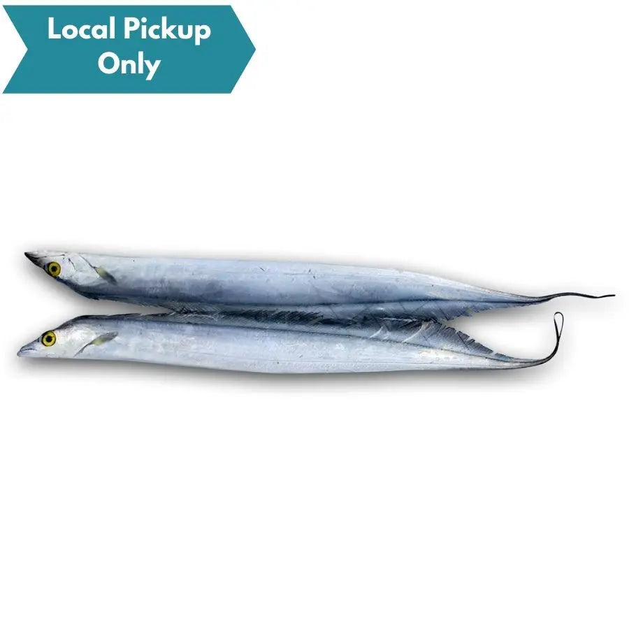FROZEN RIBBON FISH BAIT 2 PACK – Big Dog Tackle