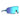 BLENDERS ECLIPSE POLARIZED SUNGLASSES