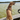 BOAT DOG CANINE CAMO HARNESS