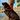 BOAT DOG ORANGE TOPOGRAPHY COLLAR