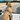BOAT DOG SHORELINE SHELLS HARNESS
