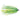 BOONE DUSTER 3PK-LIGHT GREEN / CHARTREUSE-