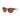 COSTA MAYA POLARIZED SUNGLASSES-SHINY CORAL TORTOISE-COPPER POLYCARBONATE (580P)-
