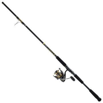 Daiwa BG Spinning Combo