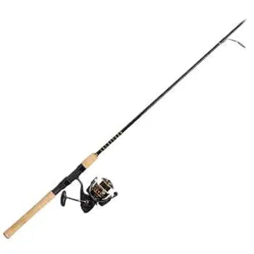 Daiwa BG Spinning Combo