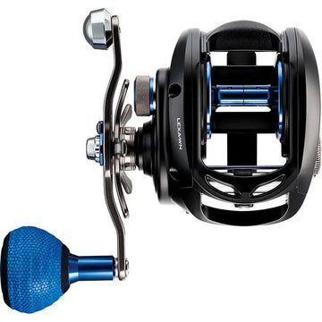 DAIWA LEXA WN BAITCASTING REEL