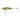 DAIWA MR SLOW JIG-GOGGLE EYE-180G-