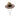 HEMLOCK LITTLE KIDS UPF 50+ SIGNATURE STRAW LIFEGUARD HAT-ISLAND COWBOY-