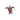 JESSIE JESSUP STICKERS TURTLE-