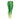 PELAGIC MAUI LEGGING DORADO GREEN
