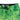 PELAGIC YOUTH SHARKSKIN SHORT DORADO GREEN