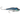 RAPALA SARDA 18" TROLLING LURE