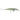 RAPALA X-RAP LONG CAST 12-