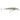 RAPALA X-RAP SALTWATER 12-PINFISH-
