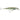 RAPALA X-RAP SALTWATER 12
