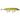 Rapala Skitter V 13 Gold Olive