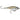 Rapala X Rap Twitchin Mullet Mangrove Minnow