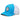 SALTY CREW BRUCE RETRO TRUCKER HAT TURQUOISE