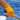SEA STRIKER MEN'S ORANGE STRING KNIT GLOVES-