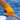 SEA STRIKER MEN'S ORANGE STRING KNIT GLOVES-
