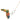 TIKI TOSS FLORIDA SPECIAL EDITION-