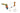 TIKI TOSS FLORIDA SPECIAL EDITION-