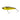 YO-ZURI 3D INSHORE TWITCHBAIT-GOLD / BLACK-3-1/2”-