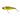 YO-ZURI 3D INSHORE TWITCHBAIT