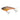 NOMAD VERTREX MAX VIBE LURE