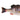 BERKLEY POWERBAIT GILLY SWIMBAIT