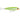 RAPALA SALTWATER SKITTER WALK 11