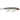 RAPALA SKITTER V 13