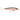 RAPALA X-RAP LONG CAST 12