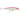 RAPALA X-RAP SALTWATER 12