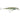 RAPALA X-RAP SALTWATER 12