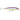 RAPALA X-RAP SALTWATER 12