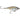 RAPALA X-RAP TWITCHIN' MULLET 8