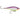RAPALA X-RAP TWITCHIN' MULLET 8